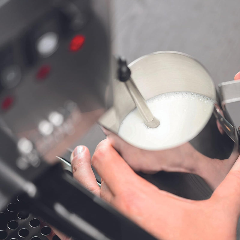 Machine Espresso Gaggia New Classic RI 9481/11 E24